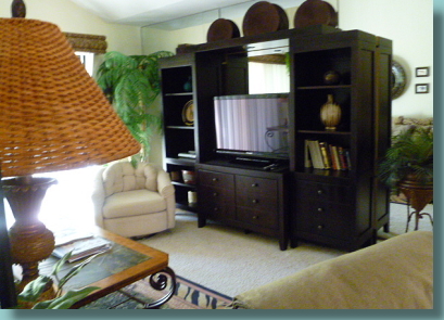 View of the living room from the patio